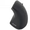 Equip 245110 Vertikāla ergonomiska bezvadu pele - labās rokas lietotājiem - 2,4 GHz - USB uztvērējs - Melna