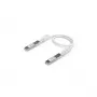 Ubiquiti UACC-Uplink-SFP28-0.3M Passive Direct Attach Copper Cable, 0.3m, SFP28 to SFP28, 25 Gbps, Black