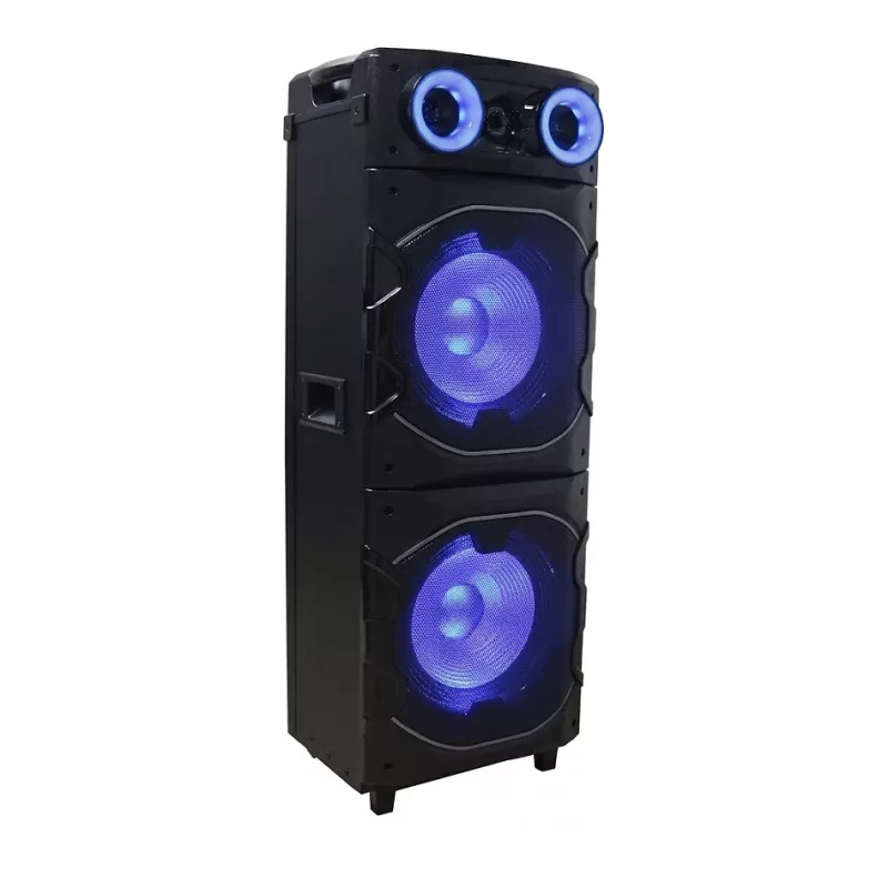 REFLEXION PS25BT Pārnēsājams ballīšu skaļrunis ar Bluetooth, FM radio, karaoke, LED gaismām, 25W RMS, 8 inch zemfrekvences skaļruni, TWS, melns