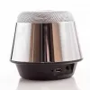 Evelatus ESP01 Bluetooth Speaker Silver
