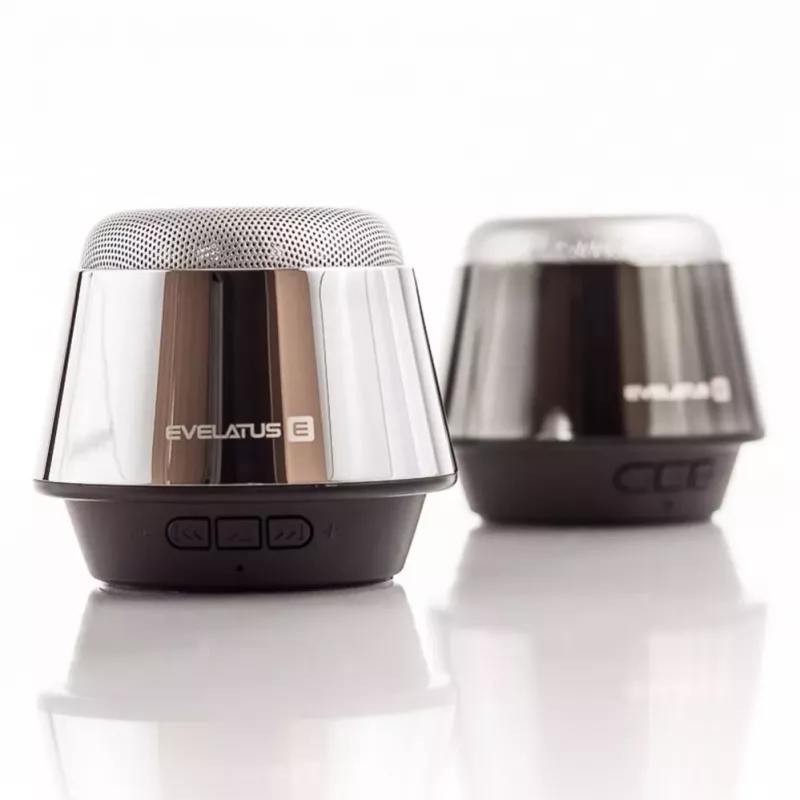 Evelatus ESP01 Bluetooth Speaker Silver