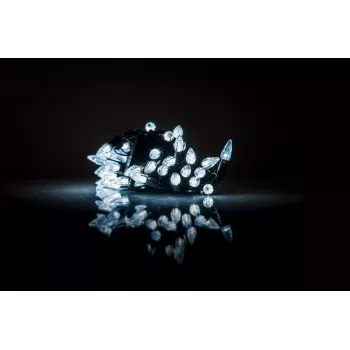 iLike Robin 2-Krāsu LED Vītnes Gaismas 2m Ar Bateriju