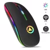 GameBox MR12 Bezvadu pele ar RGB apgaismojumu, klusiem klikšķiem, USB uzlādi, ergonomisku dizainu, melna