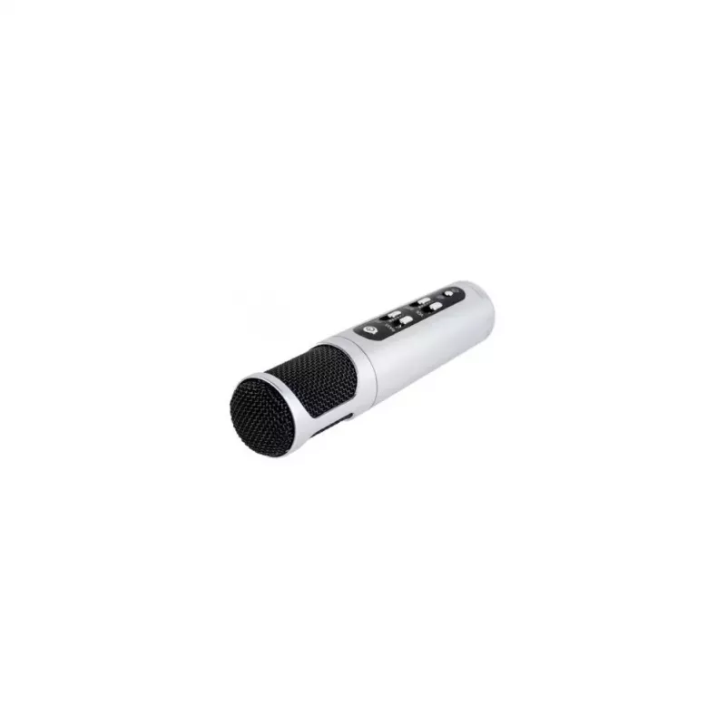 iWear M85 Karaoke Kids & Adult Fun Effect Microphone with Speakers & Record Micro SD USB Bluetooth