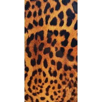 Evelatus Universal Leopard Colorful Film for Screen Cutter