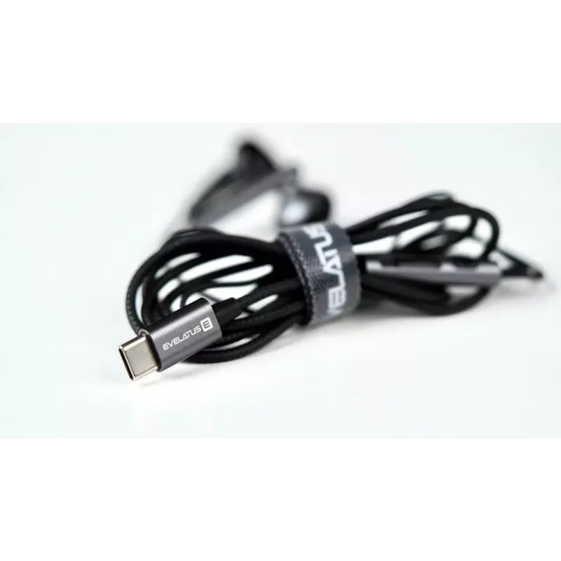 Evelatus Crystal Clear Audio Headphones with Type-C with Microphone CCA-TC-WH White