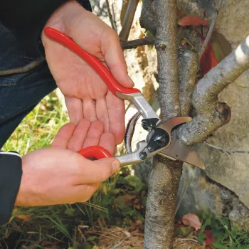 Felco 13 Classic vienas rokas grieznes - Bypass, 30 mm griešanas spēja, kalti alumīnija rokturi