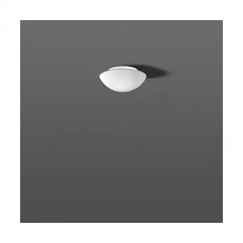 RZB 211005.002 Opālstikla gaismeklis 60W IP43 zīda matēts D=250mm