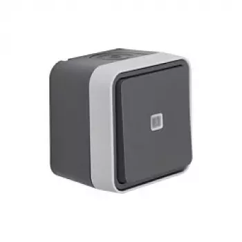 Berker 50763505 FR Push-Button Illuminated with Changeover Contact W.1 Grey