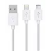 Rio DCWU-EU/1,6 USB zobu balināšanas komplekts
