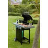 Barbecook Gāzes Bārbekjū Spring 3112 ar Uzglabāšanu, 115 x 55 x 133 cm