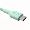 Green Cell PowerStream USB-C uz USB-C kabelis 100W Piparmētru zaļš 0.3m