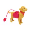 LEAN TOYS Leļļu komplekts ar suņiem, kaķi un veterināra piederumiem