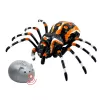 LEAN TOYS Remote Controlled Spider Tarantula Infrared Black R/C ST
