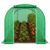 LEAN Green UV Tunnel for Vegetables with Windows 2x3 M 6M²