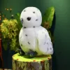 LEAN TOYS Plush Owl Bird Plush Toy Mascot Cuddly Toy White 23cm