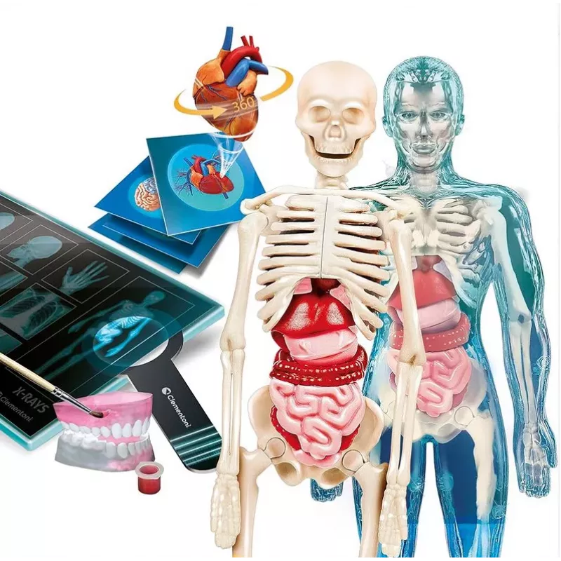 Clementoni Science & Play Super Anatomy Educational Science Kit 50919