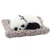 LEAN TOYS Guļošā Panda uz Spilvena Figūriņa ar Kažokādu un Caurspīdīgu Somu