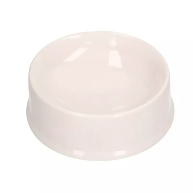 LEAN TOYS Creative Set Dog Bowl For Painting Paints Brushes DIY 6 pcs