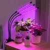 LEAN LED lampa augu audzēšanai un apgaismošanai, trīs moduļi, klipsis