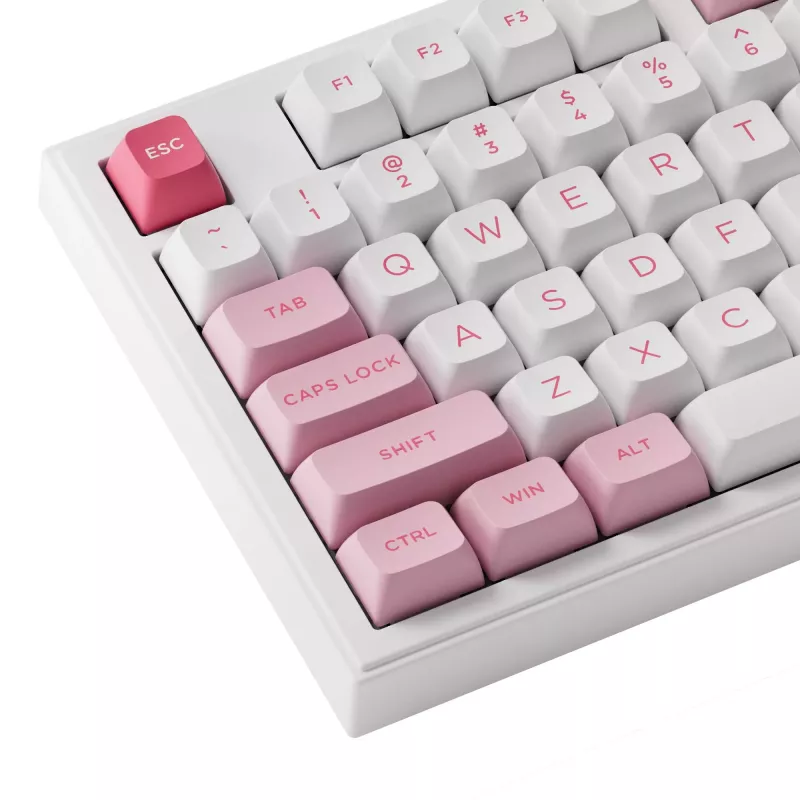 AKKO 5098B Prunus Lannesiana mehāniskā tastatūra, 98 taustiņi, trīs režīmi, karsti nomaināma, RGB, PBT ASA taustiņu vāciņi