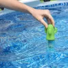 Bestway 58763 Peldošais termometrs spa baseiniem Kaktuss Zaļš