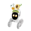 Adīts tērps Loona Premium Sunflower