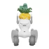 Adīts kostīms Loona Premium Pineapple