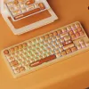 AKKO TAC87 Bun Wonder Tenkeyless Mechanical Keyboard - Multi-Mode RGB Hot-Swappable
