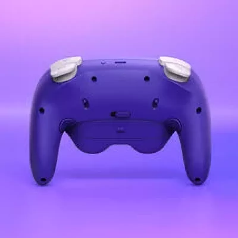 NYXI Warrior Switch 1 & 2 kontrolieris - Violeta