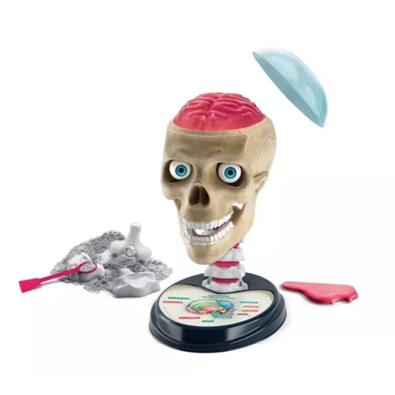 Clementoni Scientific Fun Crazy Anatomy Kit - poļu valoda - 50697