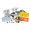 Clementoni Scientific Fun Crazy Anatomy Kit - poļu valoda - 50697