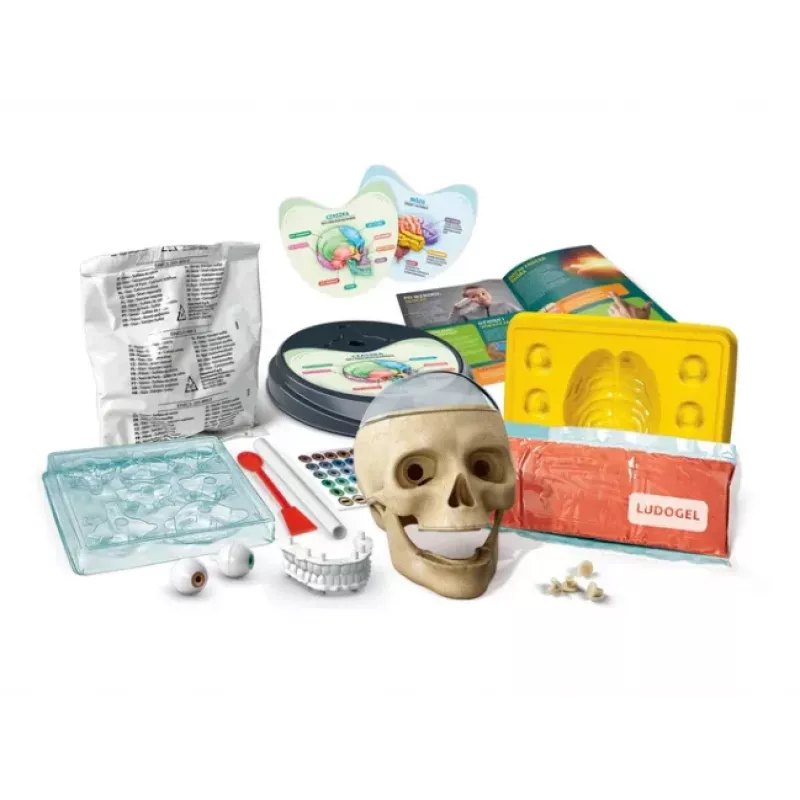 Clementoni Scientific Fun Crazy Anatomy Kit - poļu valoda - 50697