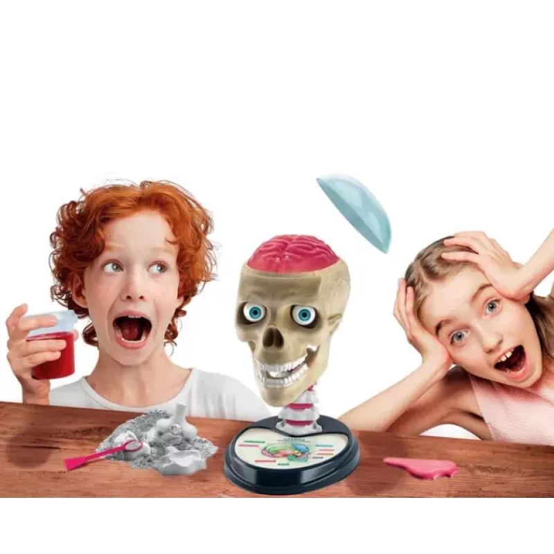 Clementoni Scientific Fun Crazy Anatomy Kit - poļu valoda - 50697