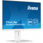 Iiyama ProLite XUB2492HSU-W5 23,8 collu Full HD IPS monitors ar USB centrmezglu un regulējamu augstumu