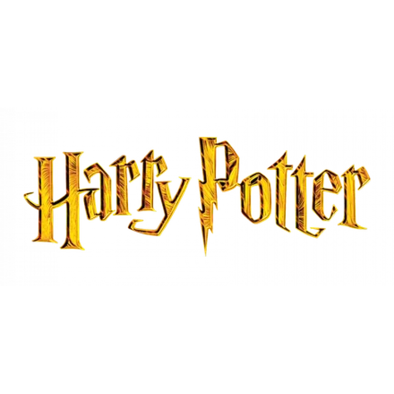 Harry Potter Notebook A5 with Pen Hogwarts
