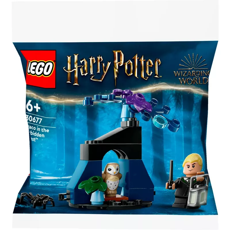 LEGO Harry Potter konstruktora komplekts 30677 – Drako Aizliegtajā mežā minifigūras aina