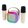 Karaoke skaļrunis, KARAOKE RGB Bluetooth skaļrunis, 30W