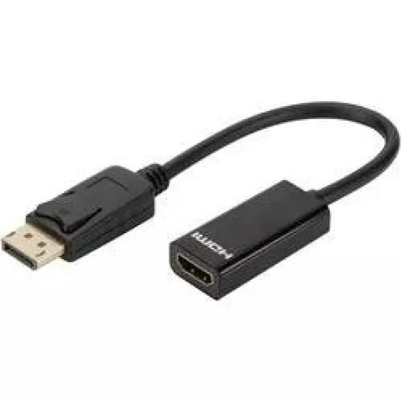 Digitus DisplayPort adapteris / pārveidotājs
