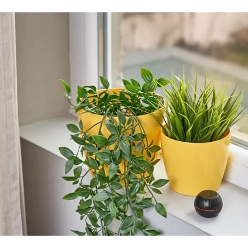 Shelly H&T, Mitruma un Temperatūras Bezvadu Gudrais Sensors, Kompakts, WiFi, Higrometrs, Mājas Automatizācija, iOS Android Lietotne – Melns