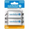 Uzlādējama baterija everActive EVHRL20-10000 D NiMH 1,2 V 2 gab.