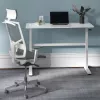 Manuāli regulējams galds Ergo Office, maks. 40 kg, maks. augstums 117 cm, ar virsmu darbam stāvus un sēdus, ER-401 W
