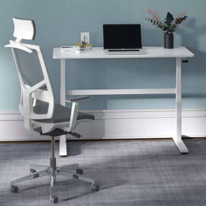 Manuāli regulējams galds Ergo Office, maks. 40 kg, maks. augstums 117 cm, ar virsmu darbam stāvus un sēdus, ER-401 W