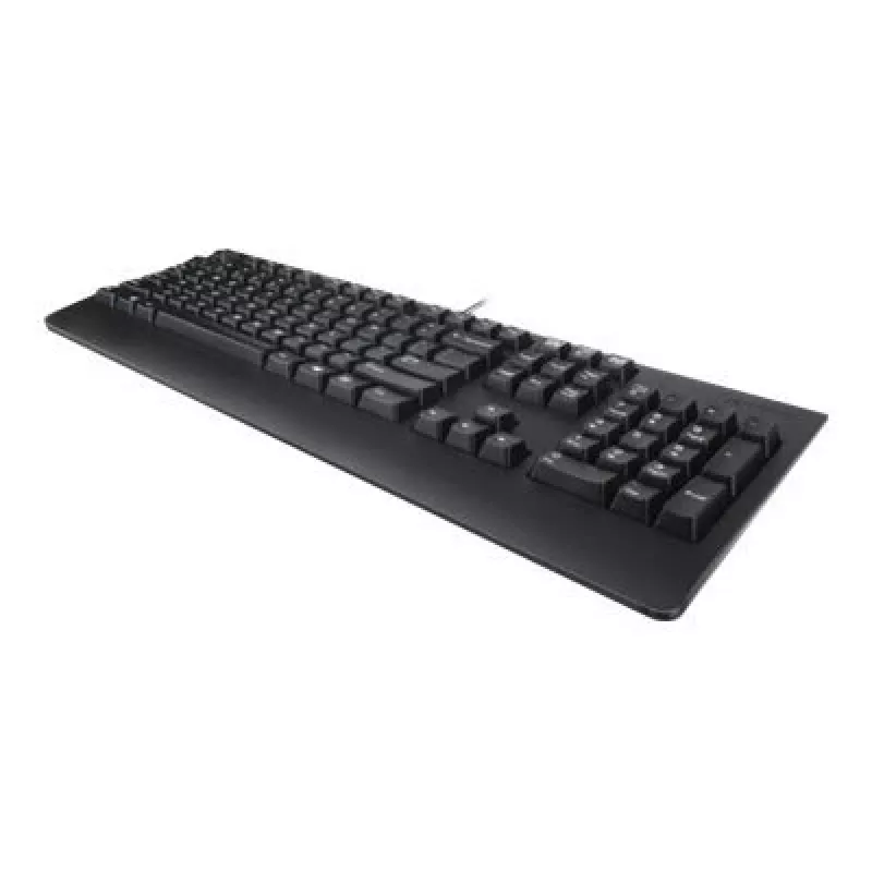 Lenovo 4X30M86918 tastatūra Office USB QWERTY US English Melna