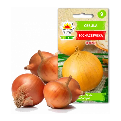 Dārzeņu sēklas