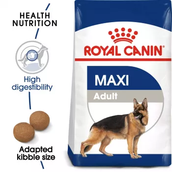 Sausā suņu barība royal canin SHN Maxi Adult 4 kg — pilnvērtīga mājputnu formula lielo šķirņu suņiem (25–45 kg), 26% olbaltumvielu