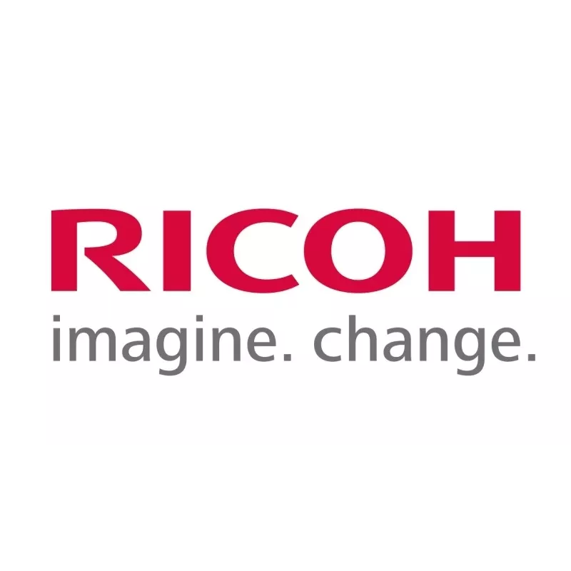 Ricoh Separation Roller (AF032098)