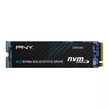 PNY CS1030 256GB M.2 2280 PCIe NVMe Gen3 x4 iekšējais cietvielu disks (SSD) (Bulk)