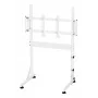 Oplite Nitrokart Monitor Statīvs V2 Balts - Tērauda pacēlājs ar integrētu vadu pārvaldību, 15kg ietilpība