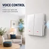 QOLTEC viedais gaismas slēdzis WiFi 2-Gang Timer Tuya balts